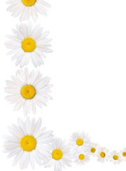 Daisy Chain